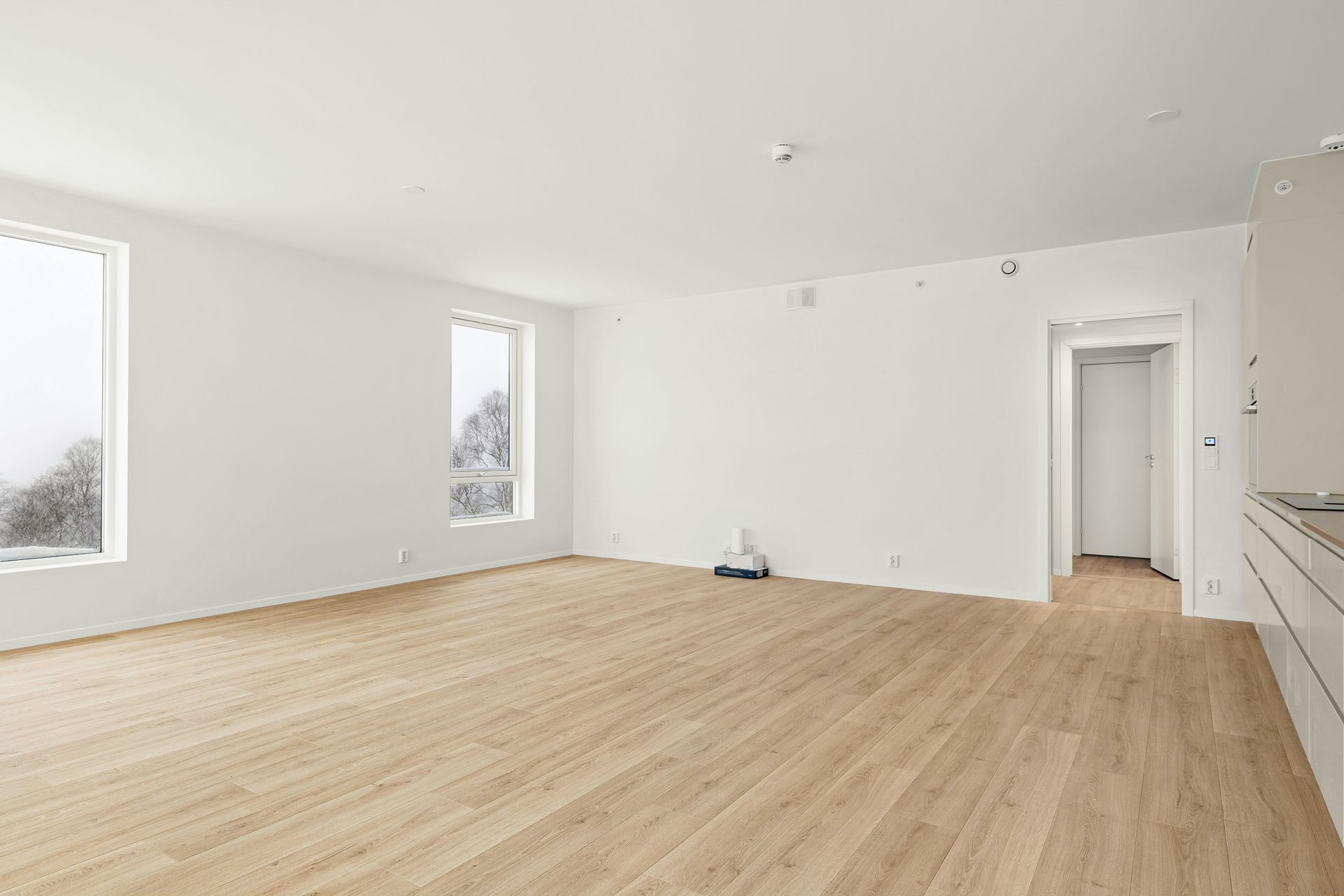 An empty room with a wood floor and white walls